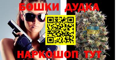 стафф Волгодонск