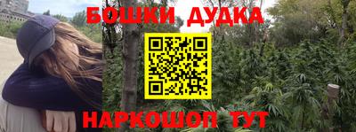 индика Волжск