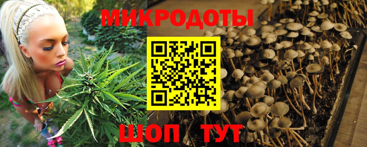 Добрянка  где купить наркотик  Вход с VPN  Псилоцибиновые грибы ЛСД 